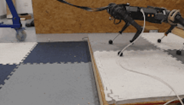 Quadruped Robot